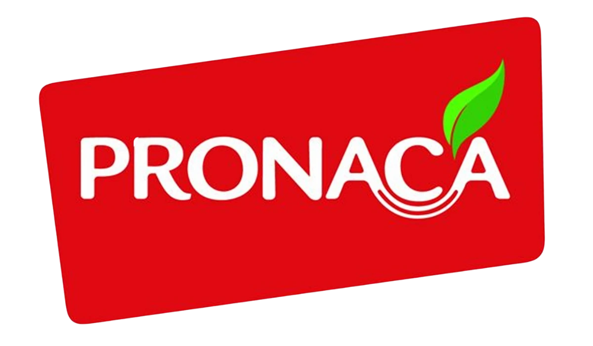pronaca
